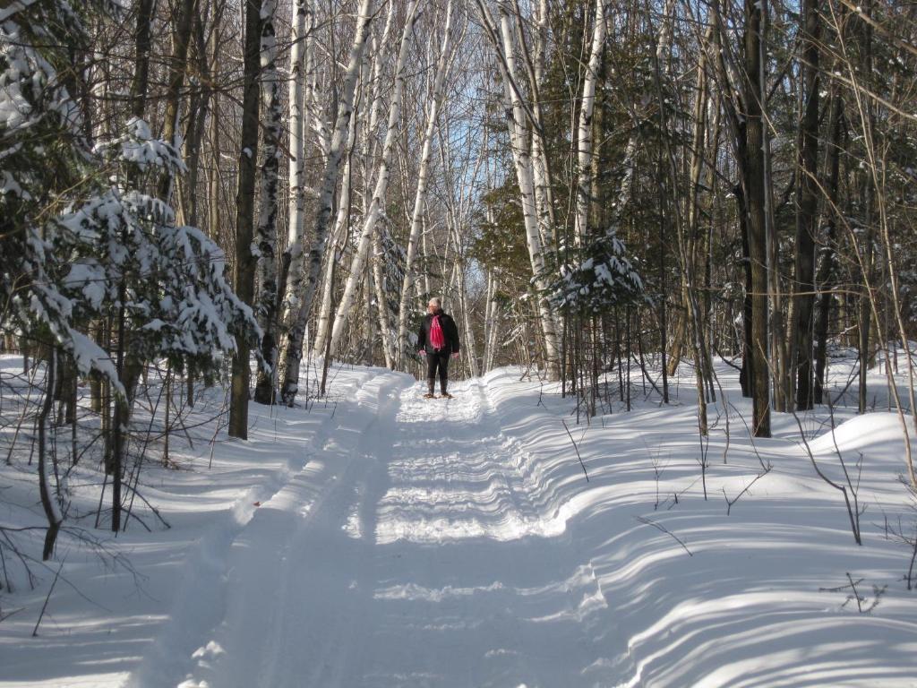 Heather Lodge Minden Bagian luar foto